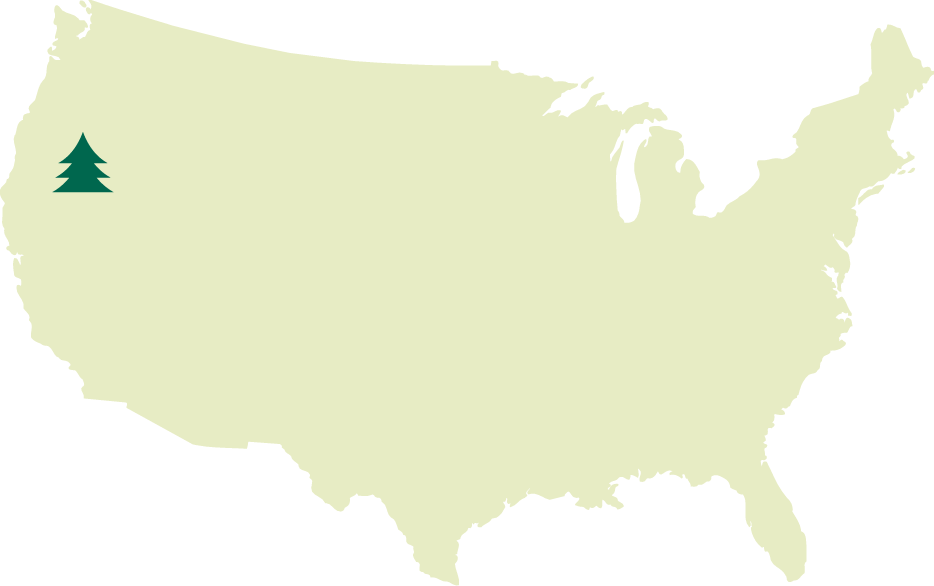 Collins Lakeview Forest location, FSC-certified forests, forest management