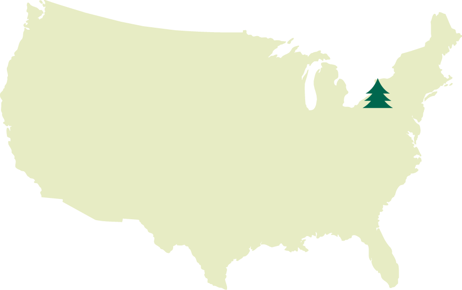 Collins Pennsylvania Forest location, FSC-certified forests, forest management