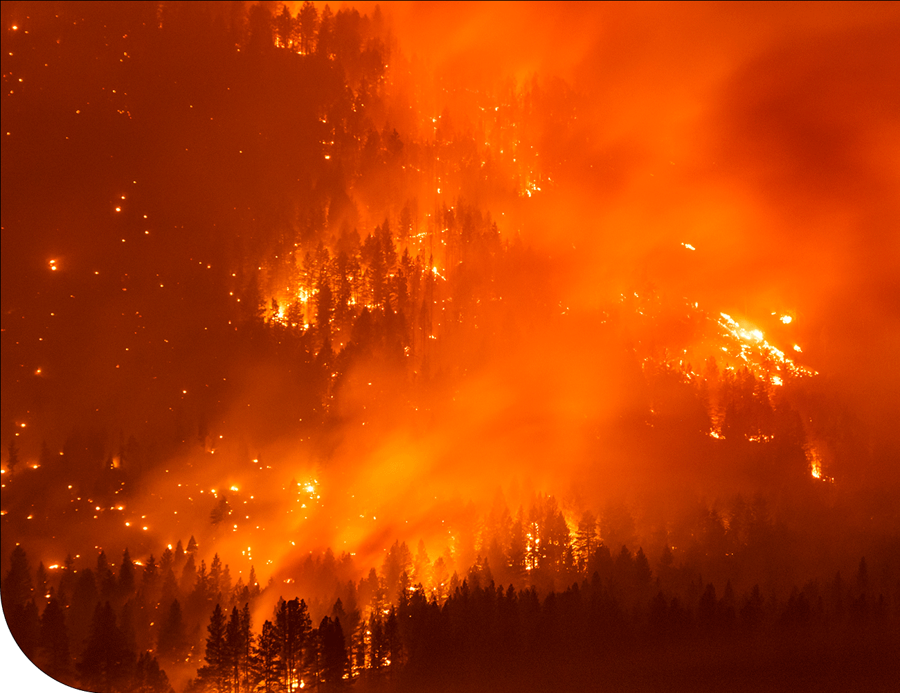 Sustainability, wildfire restoration, responsible forest practices