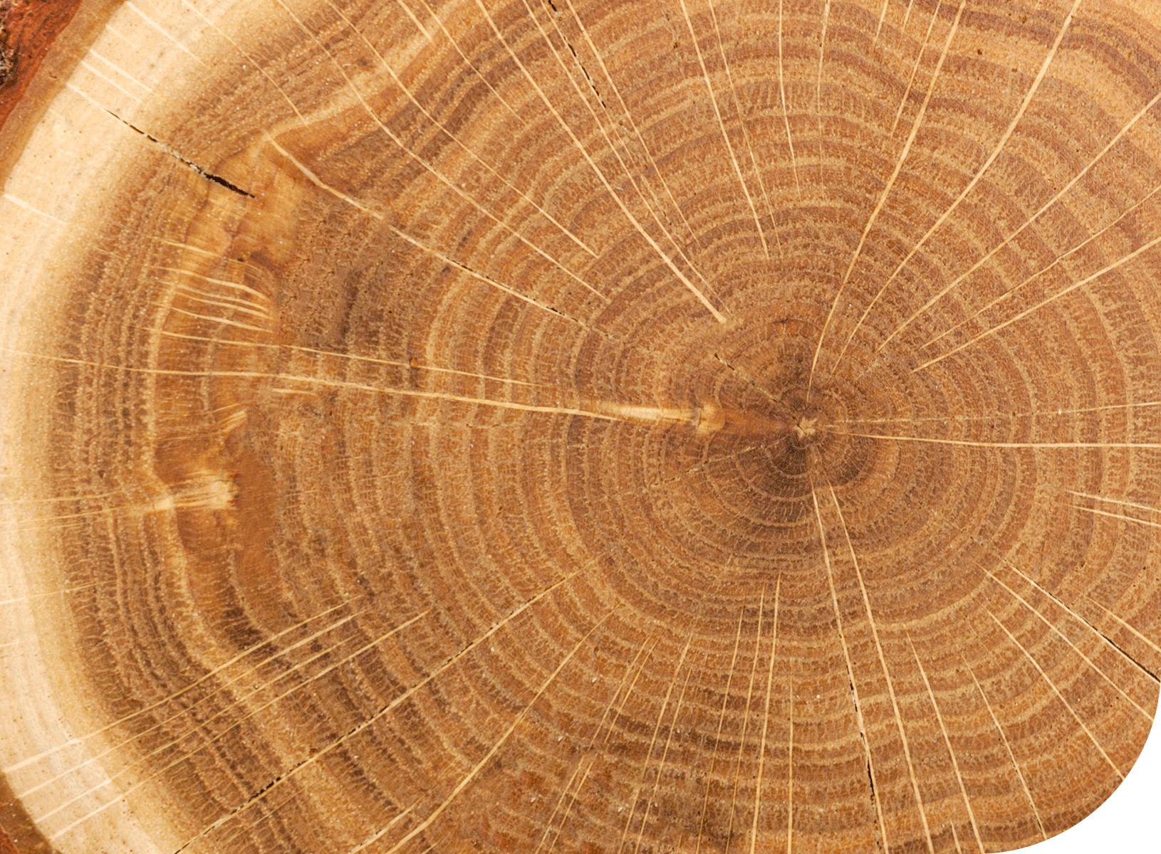 Collins FSC-certified wood products include pine particleboard, TruWood engineered wood siding and trim, hardwoods, and softwoods