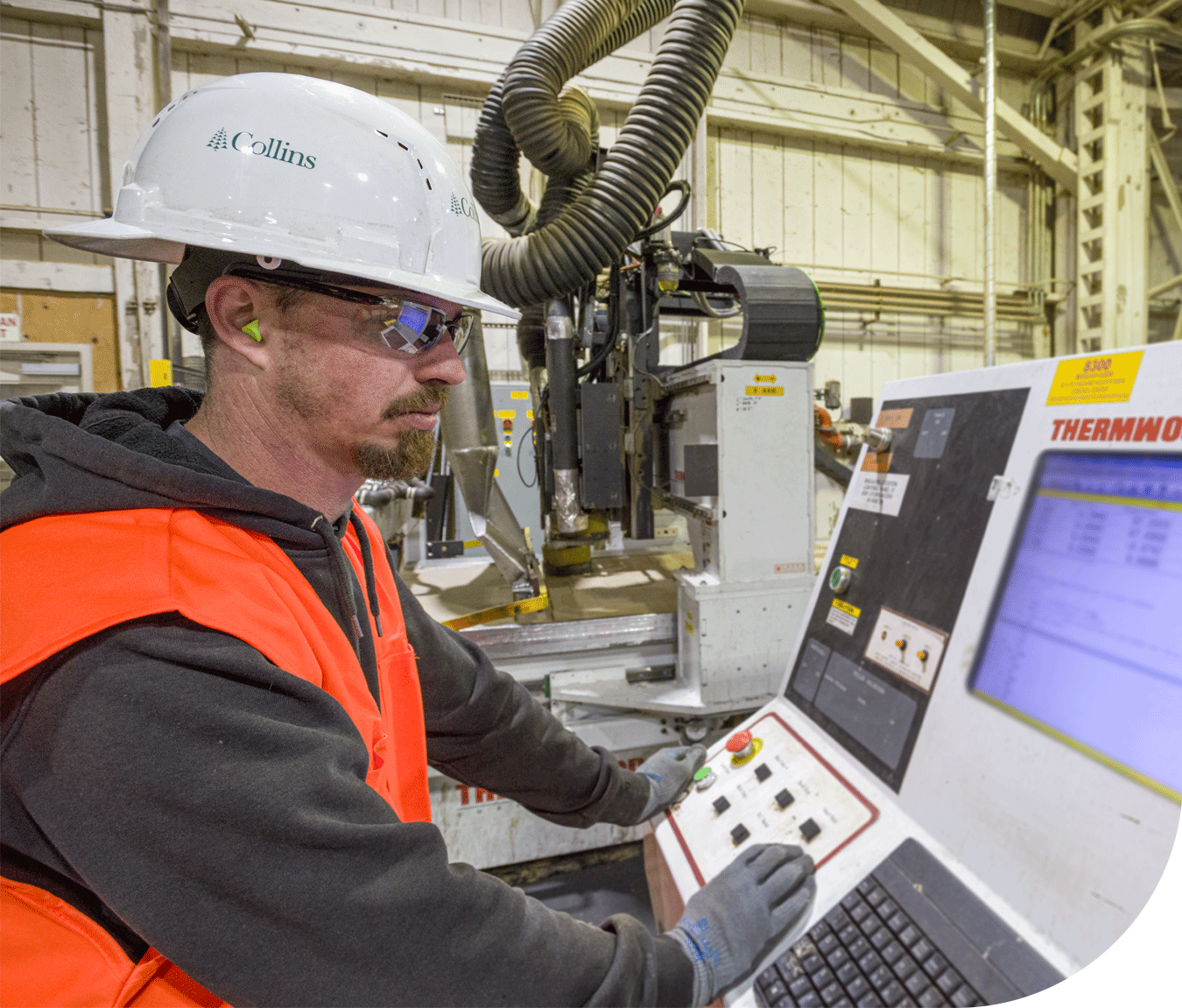 Collins careers, forestry employment, working in sawmill