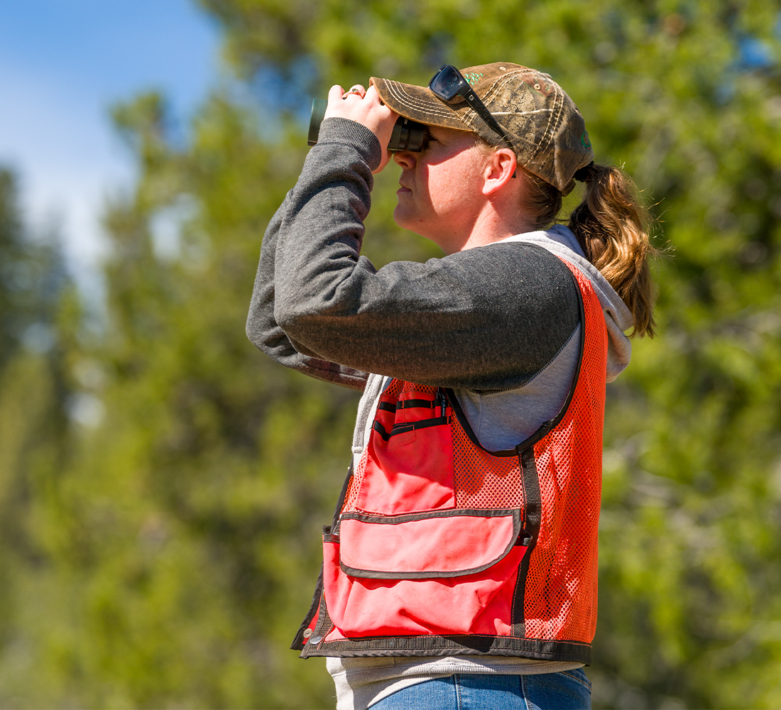 Collins core values, continuous improvement, sustainable forestry
